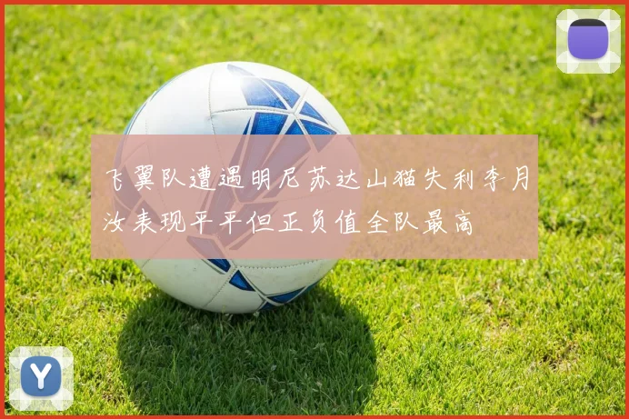 飞翼队遭遇明尼苏达山猫失利李月汝表现平平但正负值全队最高