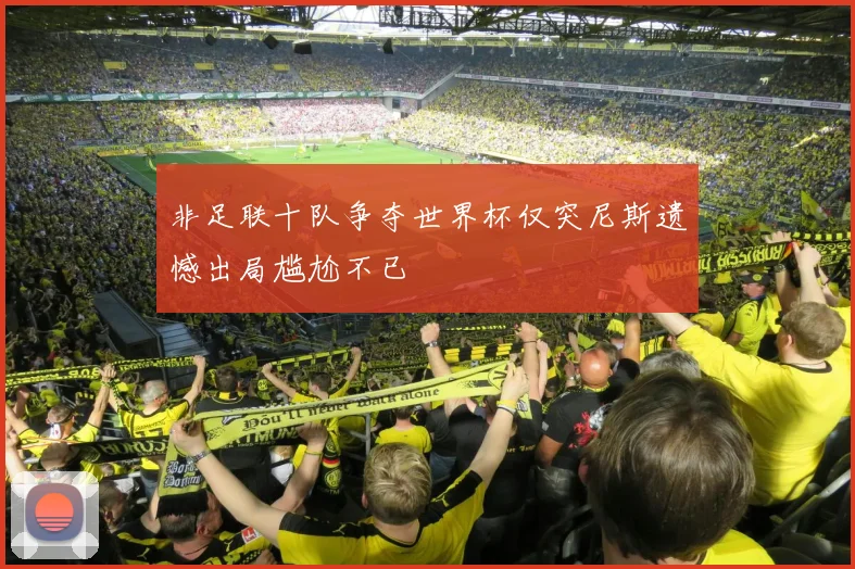 非足联十队争夺世界杯仅突尼斯遗憾出局尴尬不已